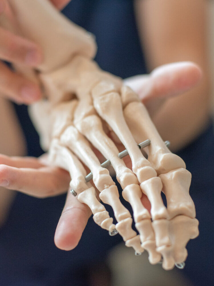 はるた整骨院の店舗について